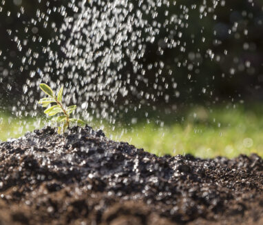 water-falling-plant