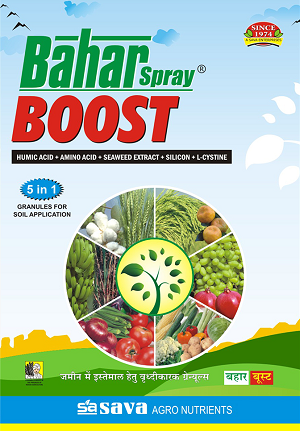 Bahar Spray Boost