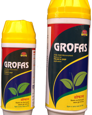 Grofas