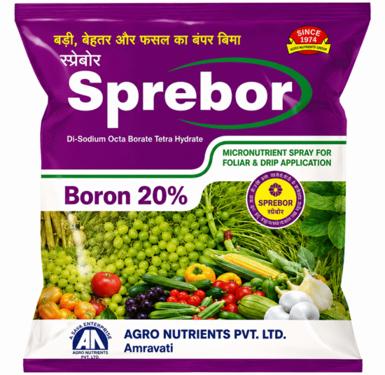 <hr>Sprebor<hr>