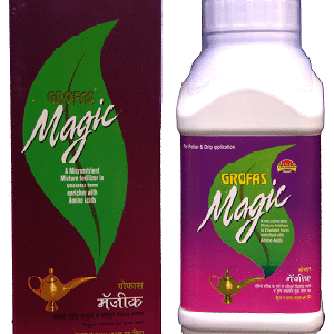 Grofas Magic