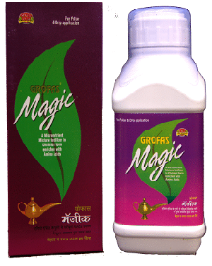 Grofas Magic