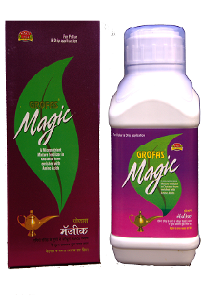 Grofas Magic