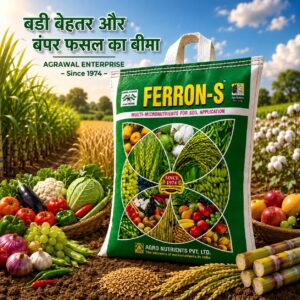 <hr>Ferron-S<hr>