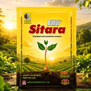 <hr>Bahar Sitara<hr>