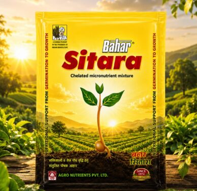 Bahar Sitara