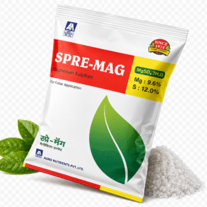<hr>Spre-Mag<hr>