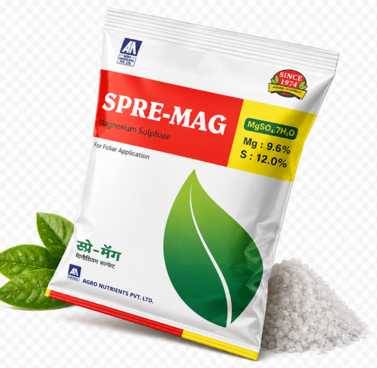 <hr>Spre-Mag<hr>