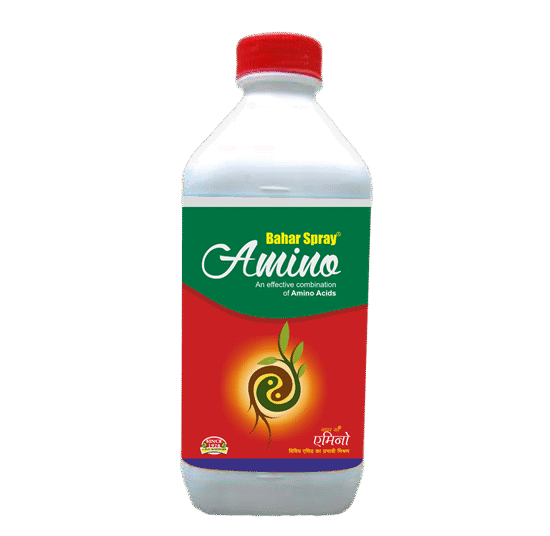 <hr>Amino Bahar Spray<hr>