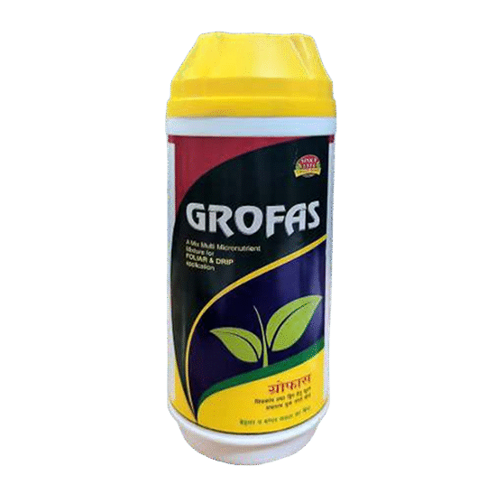 <hr>Grofas<hr>