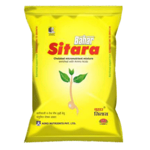 <hr>Sitara<hr>