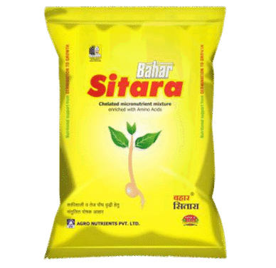 <hr>Bahar Sitara<hr>