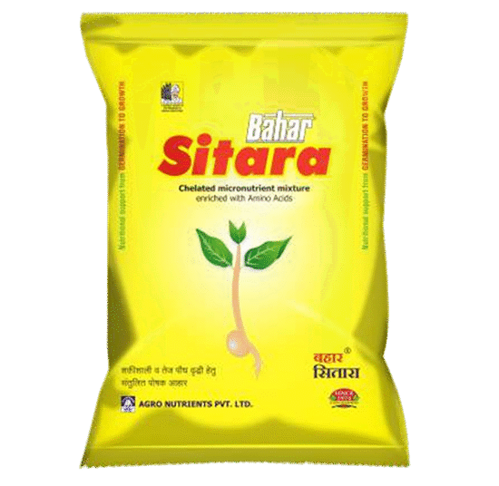 <hr>Bahar Sitara<hr>