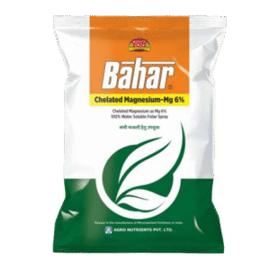 <hr>Bahar Magnesium<hr>