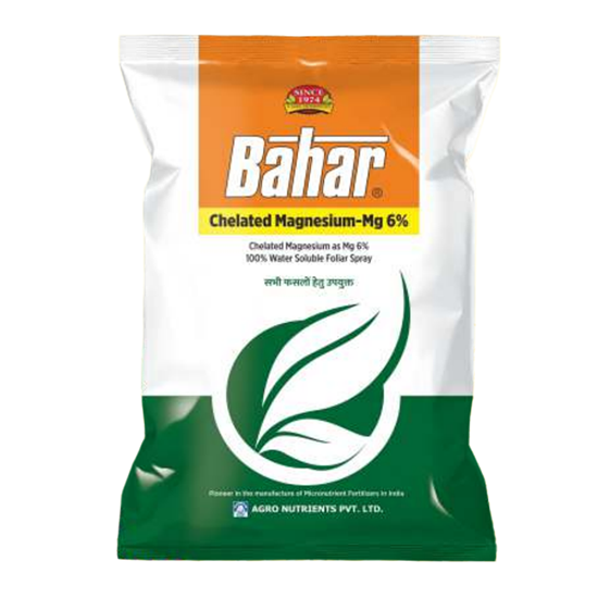 Bahar Magnesium