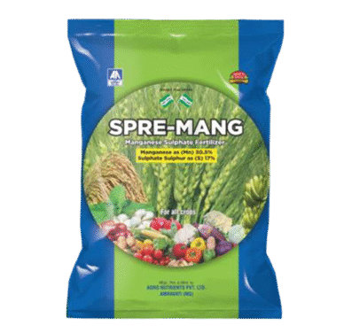 <hr>SPRE-MANG<hr>