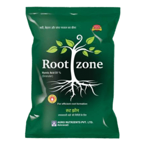 <hr>Root Zone<hr>