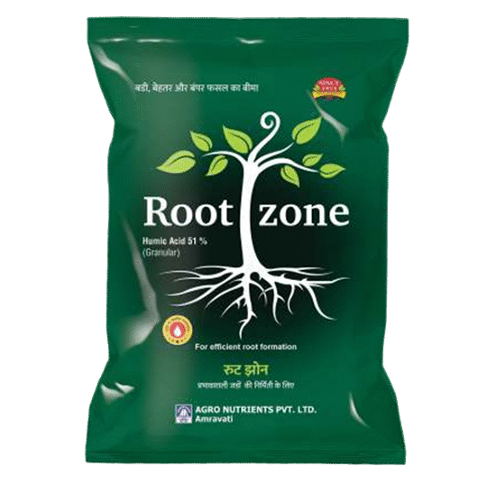 <hr>Root Zone<hr>