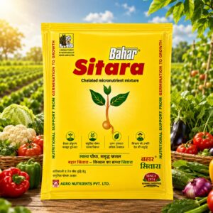 <hr>Bahar Sitara<hr>