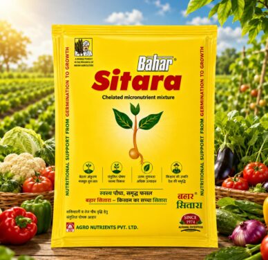 <hr>Bahar Sitara<hr>