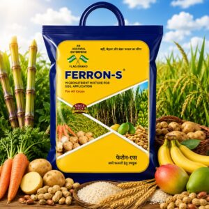 <hr>FERRON-S<hr>