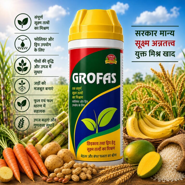Grofas
