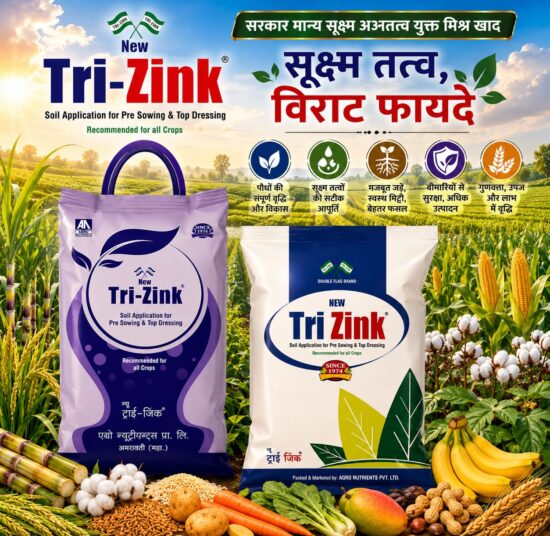 <hr>NEW TRI ZINK<hr>