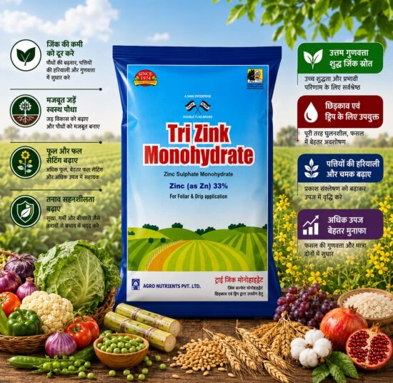 <br>Tri Zink Monohydrate<br>