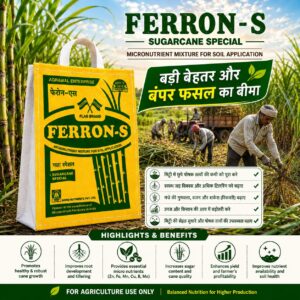 <hr>FERRON -S SUGAR CANE SPECIAL<hr>