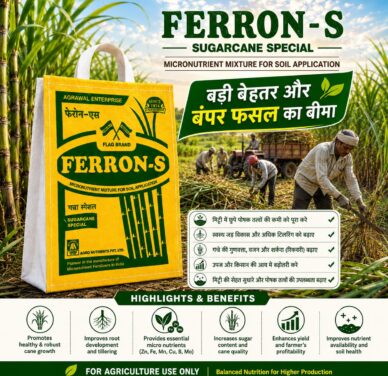 <hr>FERRON -S SUGAR CANE SPECIAL<hr>
