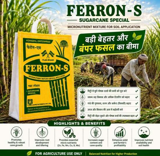 <hr>FERRON -S SUGAR CANE SPECIAL<hr>