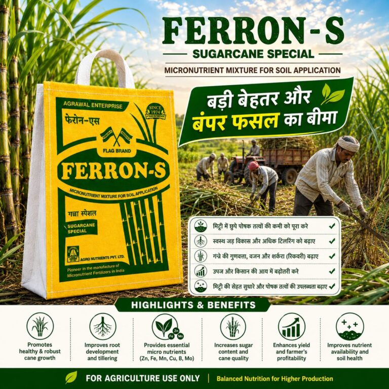<hr><strong><em>FERRON -S SUGAR CANE SPECIAl<em><strong><hr>